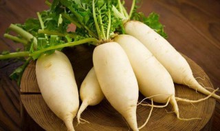 立春为什么吃萝卜 立春为什么吃萝卜好