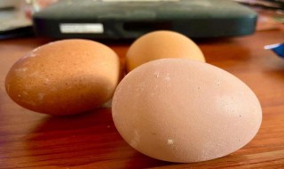 热水壶能煮熟鸡蛋么 拿热水壶煮得熟鸡蛋吗