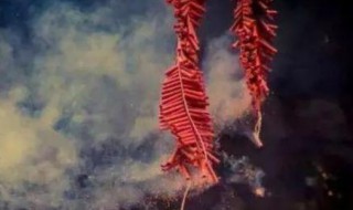 为什么春节要放鞭炮 为什么春节要放鞭炮50字