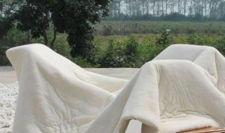 冬季晒被子需要注意什么（冬季晒被子需要注意什么饮食）