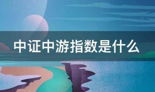 中证中游指数是什么（中证指数是啥）