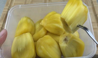 菠萝蜜有点生脆的能吃吗 菠萝蜜吃起来脆脆的熟了吗