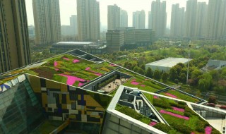 楼顶保温层积水怎么解决（楼顶保温层进水怎么办）