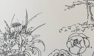 素描插花技巧 插花画法步骤图片素描