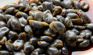 泥螺怎么吐干净泥沙（泥螺怎样吐净泥沙）