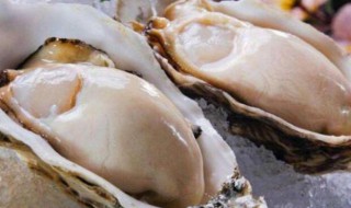 生蚝怎么看新不新鲜 生蚝怎么看新不新鲜图片