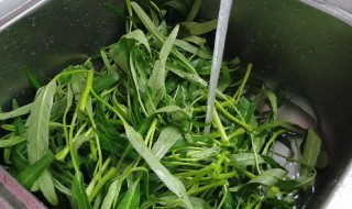 空心菜怎么洗才干净 空心菜怎么洗才干净啊