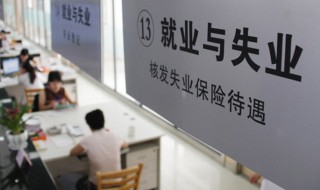 失业保险金申领失败是原因有哪些(失业保险金申领失败是原因有哪些呢)