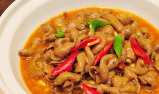 肥肠怎么煮容易烂（肥肠怎么煮容易烂没有碱）