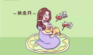 夏天蚊子多宝宝怎么办 夏天宝宝出门怎么防蚊子