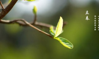 立春是什么时候有的（立春是是什么时候）