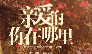 电视剧亲爱的你在哪里大结局 电视剧亲爱的你在哪里大结局如何