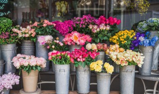 送的花怎么保存（送的花怎么保存时间长）