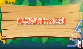 竟与竞有什么区别 竟和竞的区别和用法