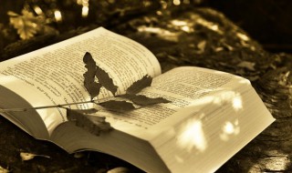 2021女微信名字简单气质 2021微信名称女 唯美 淡雅