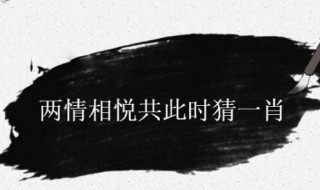 两情相悦共此时猜一肖 两情相悦缘分至猜一生肖