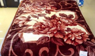 拉舍尔毛毯是什么材质（拉舍尔毛毯是什么材质的好）