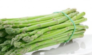 芦笋种植养殖技巧 芦笋种植养殖技巧视频