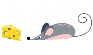 樟脑丸能驱赶老鼠吗 樟脑丸能驱赶老鼠吗知乎