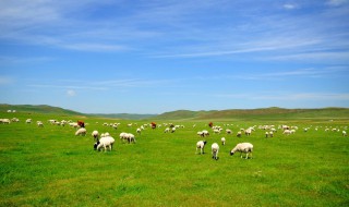 课外书中描写风的句子 描写风的读后感