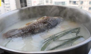 孕早期吃的鲫鱼汤怎么做(孕妇吃的鲫鱼汤怎么做)