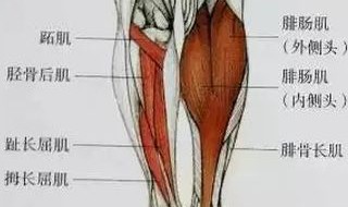 小腿运动前没拉伸好怎么办 运动后不拉伸小腿