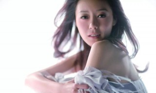 安又琪个人资料简介 陈慧娴个人资料简介