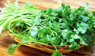 芫荽的好处(芫荽的功效与作用)