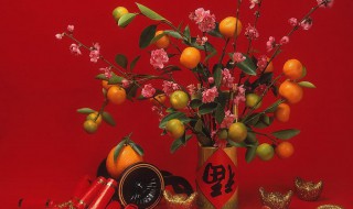 按月过年啥意思（过年了是什么意思?）