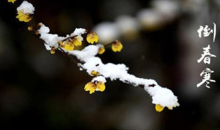 倒春寒成因 倒春寒成因是因为副高偏弱吗