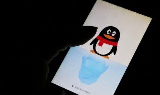 QQ好友怎么查看认识天数(如何查看与qq好友认识天数)