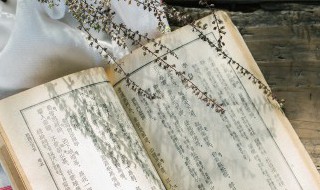 花香蝶自来是什么意思 花香蝶自来的意思是什么