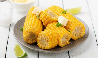 优质玉米粒怎么挑选（优质玉米粒怎么挑选方法）