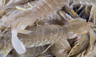 熟皮皮虾怎么保存（熟皮皮虾怎么保存时间长）