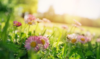 表达相遇不逢时的句子(表达相遇不逢时的句子诗句)