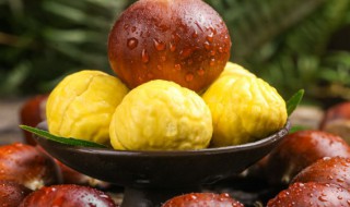 鲜板栗怎么保存 鲜板栗怎么保存时间更长