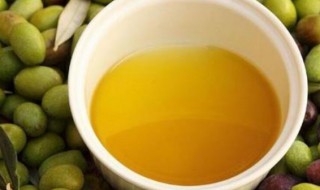 茶油怎么保存 茶油怎么保存最好