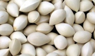 鲜白果怎么保存 鲜白果怎么保存时间久