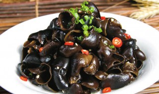 芥末木耳的制作方法 做芥末木耳方法