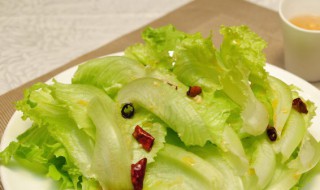 农场生菜种植方法（农场生菜种植方法图片）