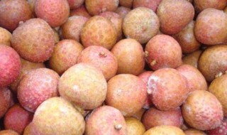 冻荔枝如何做（冻荔枝好吃吗 怎么做）