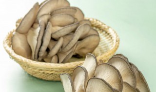 蘑菇清汤如何做 蘑菇清汤如何做好喝