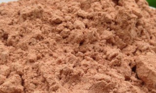 如何做梅子粉（如何做梅子粉视频）