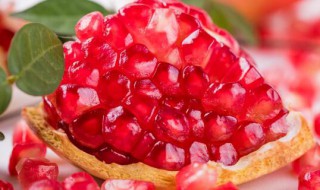 自酿石榴酒的制作方法（石榴果酒的制作方法 自酿）