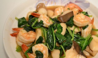 鲜虾菠菜如何做 鲜虾菠菜如何做汤