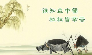 有关米的名言句子 有关米的名言句子简短