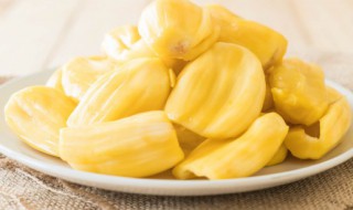 挑选菠萝蜜肉的技巧(如何挑选菠萝蜜肉)