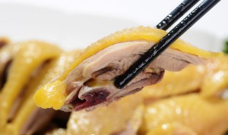 怎样用盐焗粉做广东白切鸡(怎样用盐焗粉做广东白切鸡好吃)