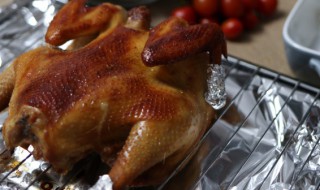 玉米鸡是什么意思（玉米鸡是什么鸡）