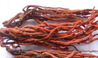 红丹参的功效与作用（红丹参的功效与作用及禁忌症）